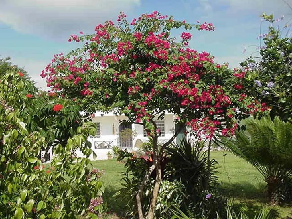 Great Escape And Breakfast Inn Vieques